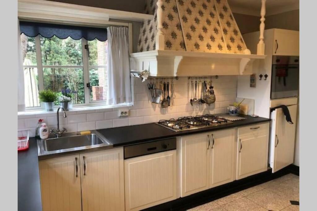 Vrijstaande Rietgedekte Villa Nabij Uitvalswegen Вассенар Экстерьер фото